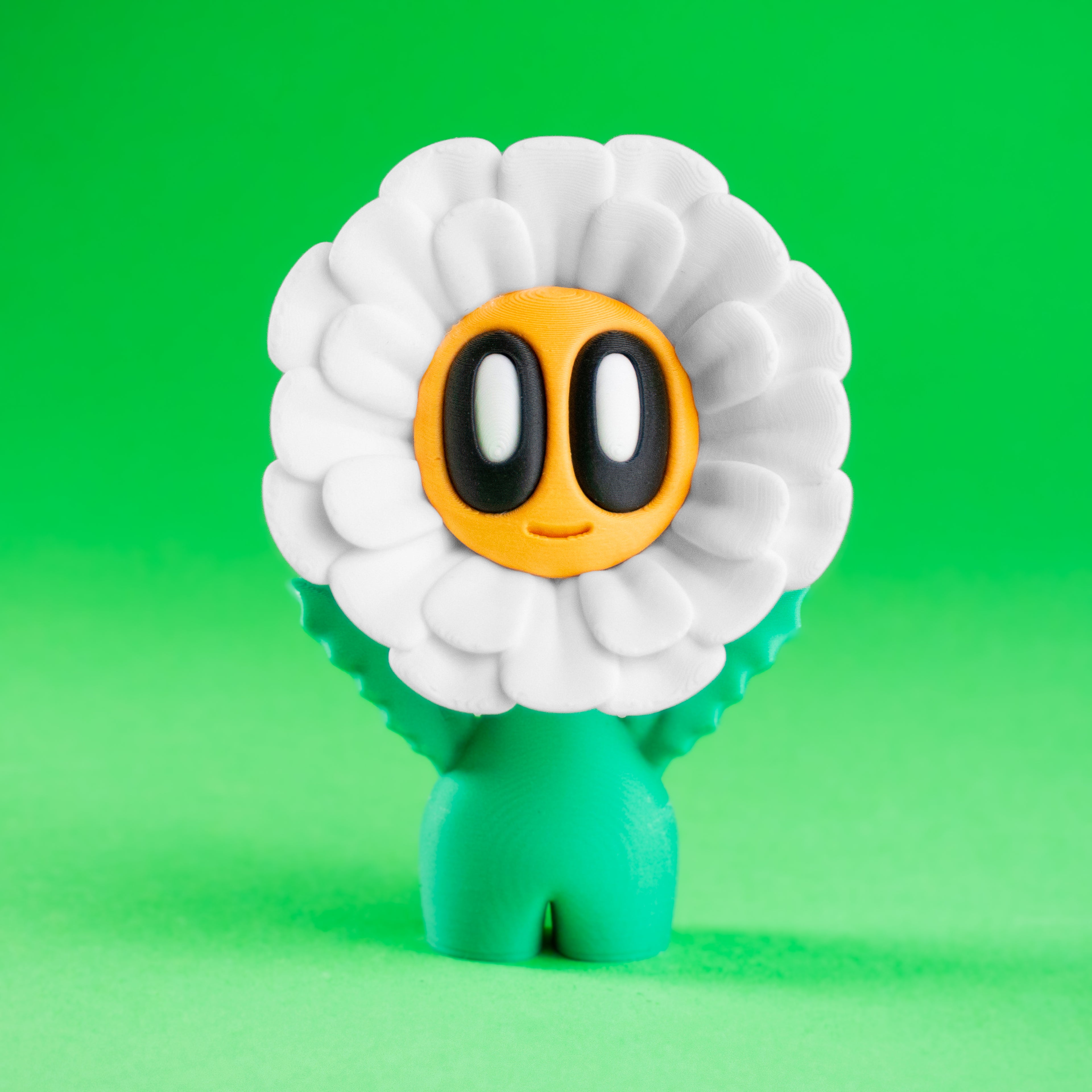 Daisy Flower Blob - Mini Daisy Flower Plant