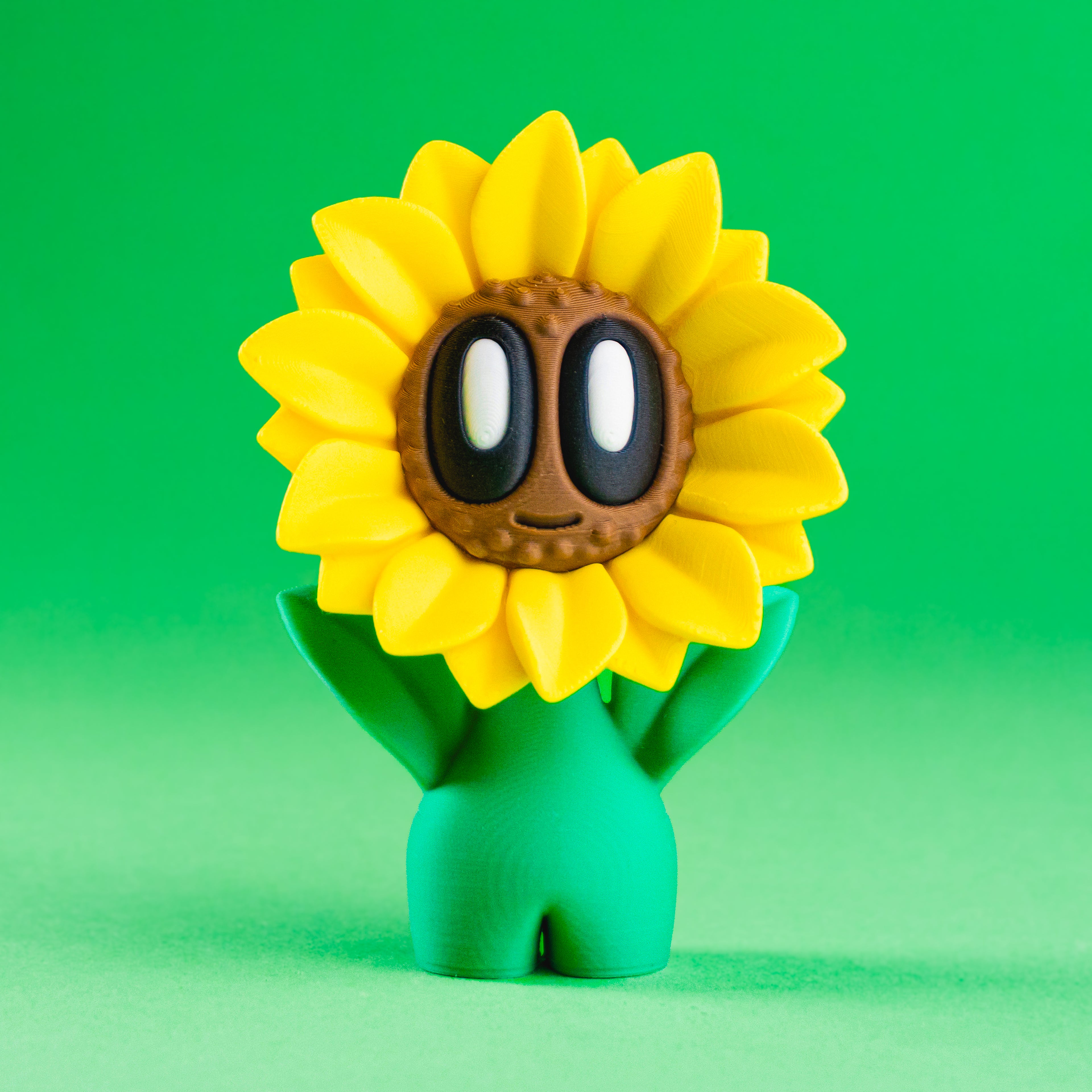 Sunflower Blob - Mini Sunflower Plant