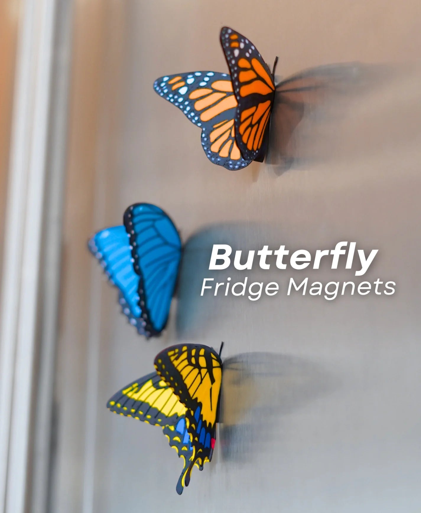 Butterflies