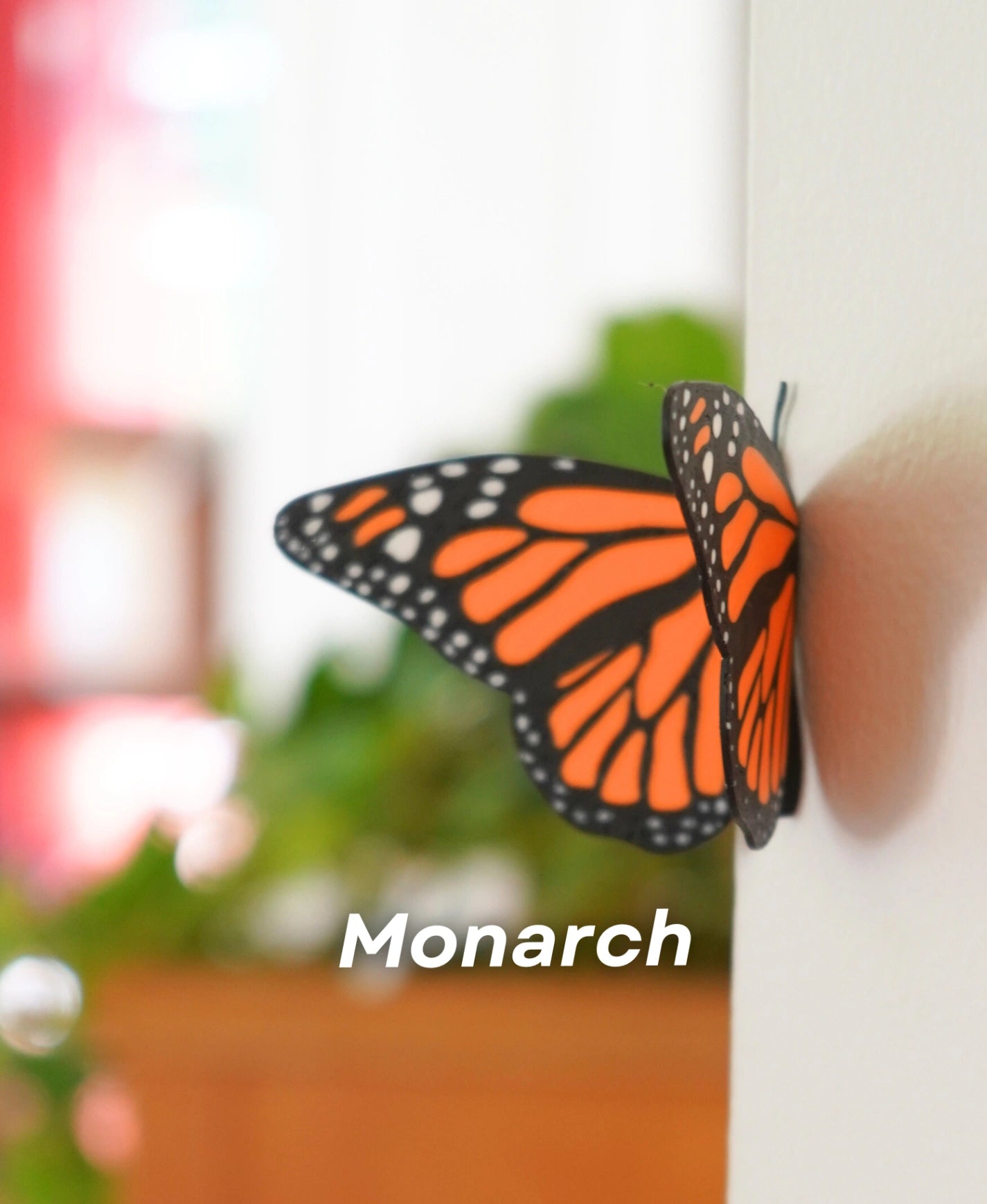 Magnetic Monarch Butterfly