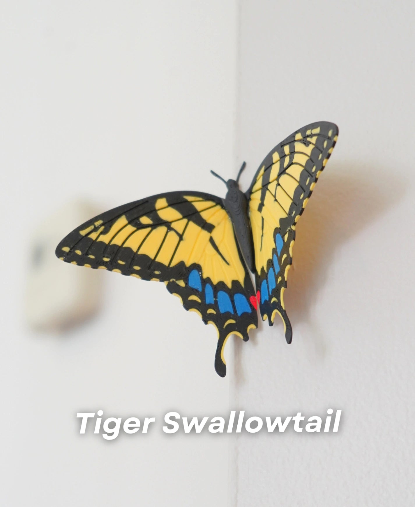 Magnetic Tiger Swallowtail Butterfly