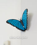 Magnetic Blue Morpho Butterfly