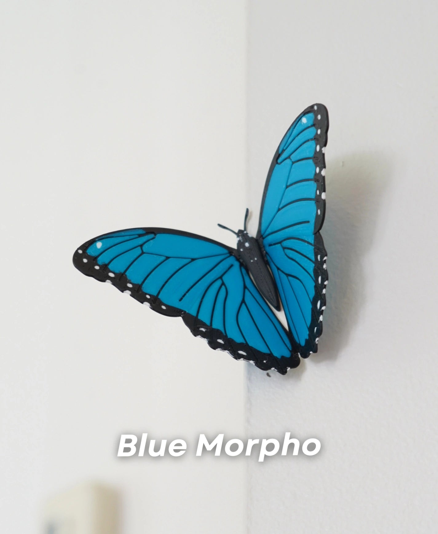 Magnetic Blue Morpho Butterfly