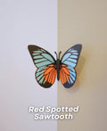 Magnetic Red Spotted Sawtooth Butterfly