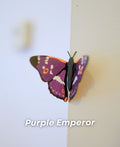 Magnetic Purple Emperor Butterfly